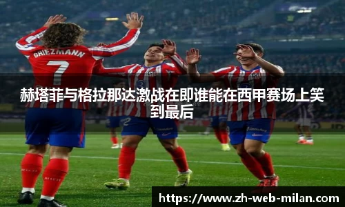 米兰体育平台